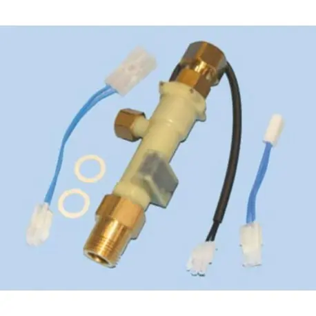 CONJUNTO FLUXOSTATO CALDERA FAGOR AS0002248. FER44FA5500 Oferta