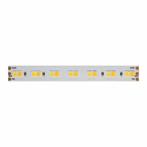 TIRA LED FINE-42 SMD2835 168Led/m 24V DC 19,2W/m CCT IP20 10mm (ROLLO 5m) Venta Final